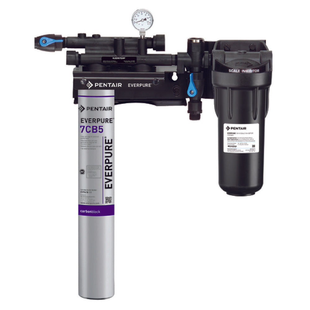 Everpure EV979721 - KleenSteam II Single System, 10,000 Gallon Capacity, 2.5 Gpm Flow Rate