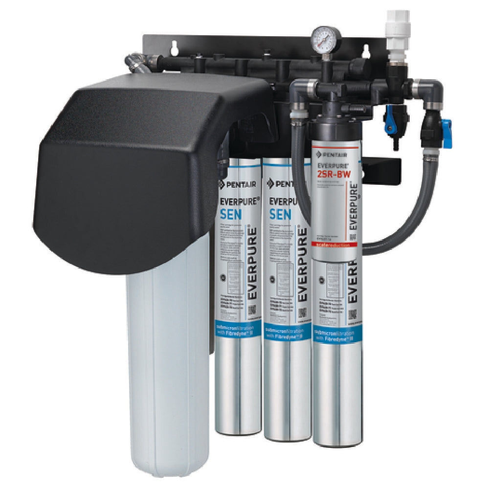 Everpure EV943732 - Endurance® Water Filtration System, Endurance® Quad, (1) EC210 Prefilter