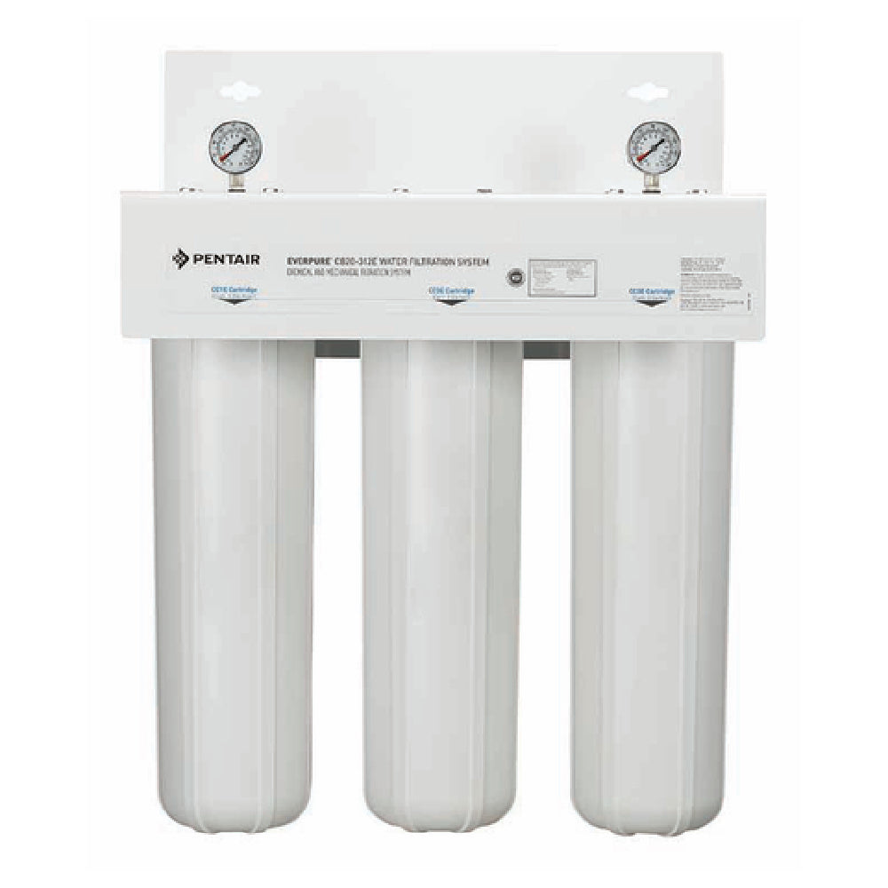 Everpure EV910037 - CB20 Water Filtration System, CB20-312E, Twin