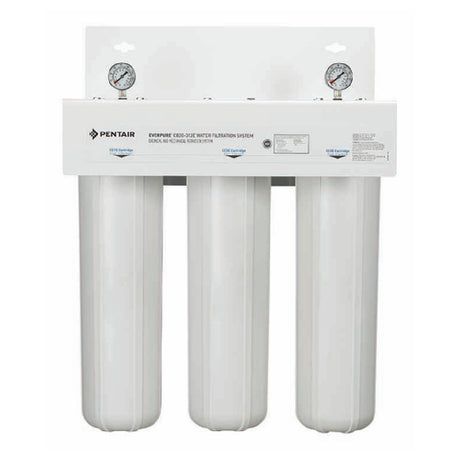 Everpure EV910037 - CB20 Water Filtration System, CB20-312E, Twin
