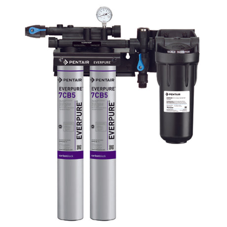Everpure EV979722 - KleenSteam II Twin System, 20,000 Gallon Capacity, 5.0 Gpm Flow Rate