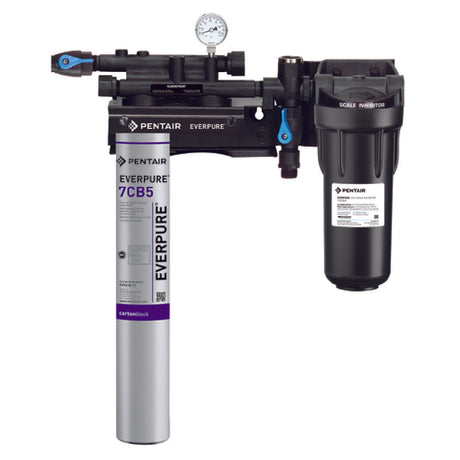 Everpure EV979721 - KleenSteam II Single System, 10,000 Gallon Capacity, 2.5 Gpm Flow Rate