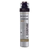 Everpure EV927200 - QL3 Water Filtration System, QL3 BH², Single