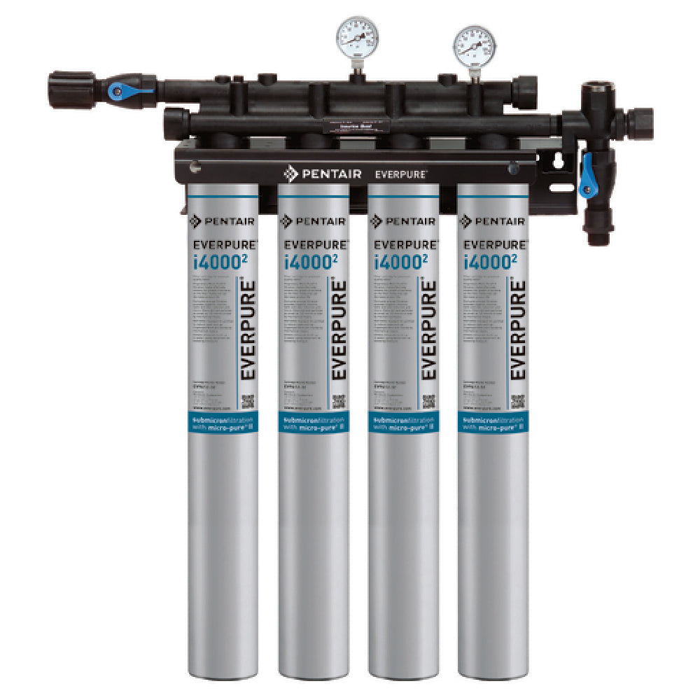 Everpure EV932504 Insurice® Water Filtration System
