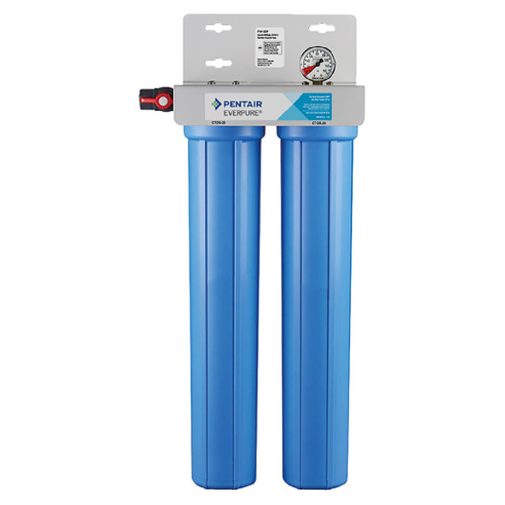 Blue dual-stage FXI-22P Water Filtration System with pressure gauge for enhanced filtration