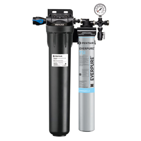 Commercial water filtration system featuring Everpure EV932471 Insurice Single-7SI with dual filters