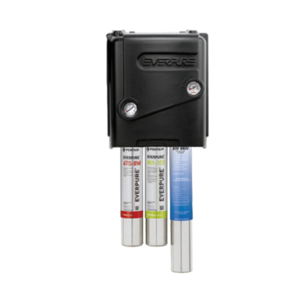 Everpure EV997075 - MRS Reverse Osmosis System, MRS-100BL, (1) 6TO-BW Granular Activated Carbon Cartridge