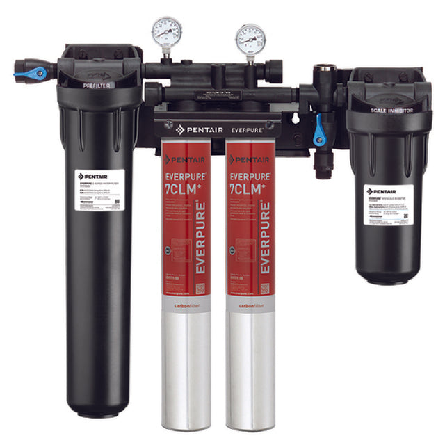 Commercial water filtration system featuring Everpure High Flow CSR with dual red filter cartridges