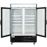 Empura 54" White Swing Glass 2 Door Merchandiser Freezer with ClearKeeper™ Glass, 43.8 Cu. Ft., LED Lighting, 8 Adjustable Shelves