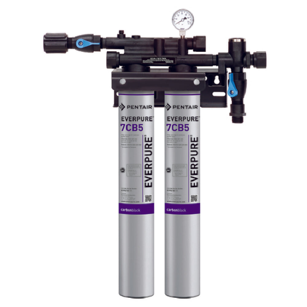 Everpure EV979740 - KleenSteam II Twin Without Feeder, 20,000 Gallon Capacity, 5.0 Gpm Flow Rate