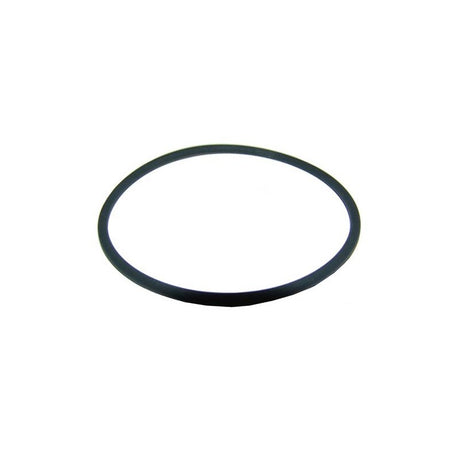 Everpure 158096 O-Ring PKG #237 Silicone For HFC-10 (158096)