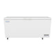 Empura Refrigeration E-CF-18 Solid Lid Chest Freezer 3D View